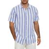 Stripe Blue